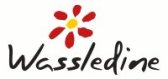 Wassledine logo